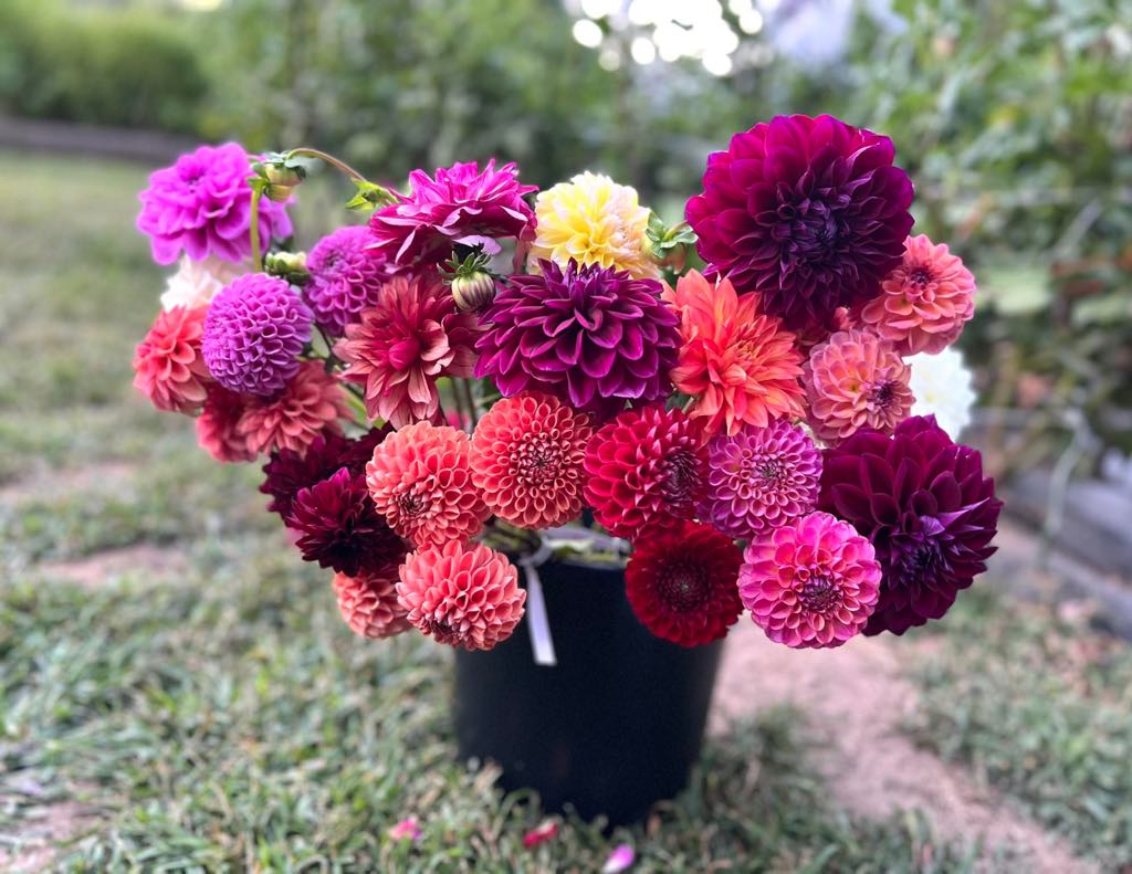 Party Buckets - Bulk Flowers (Message me if interested)